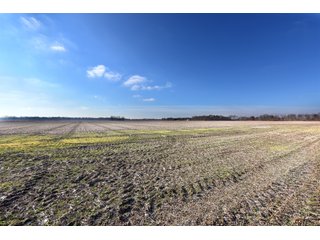 Property photo 42 - MAJOR, HIGH QUALITY LAND AUCTION - 346+/- ACRES OFFERED IN 8 TRACTS IN JACKSON COUNTY, INDIANA